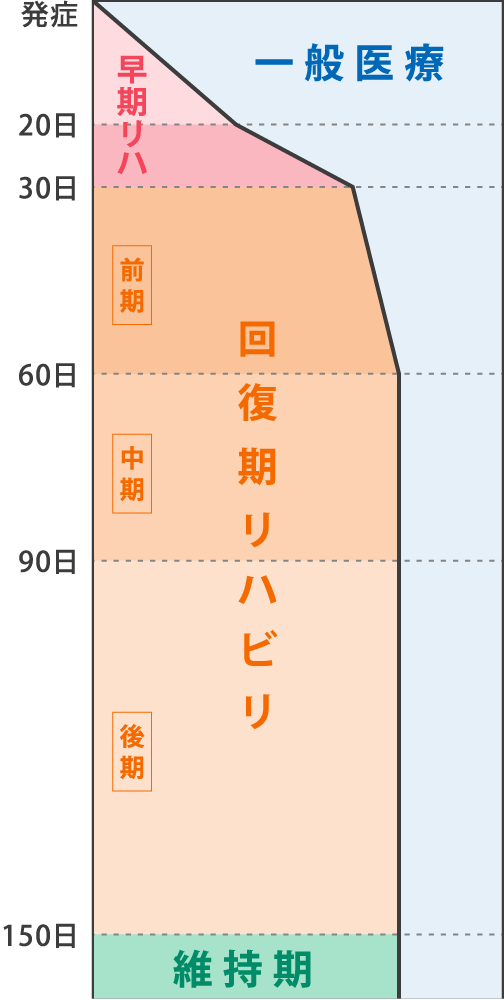 リハビリテーションの流れ